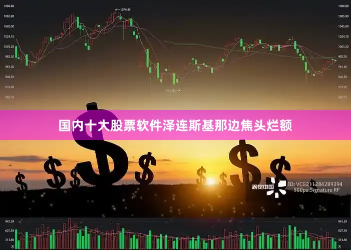 国内十大股票软件泽连斯基那边焦头烂额