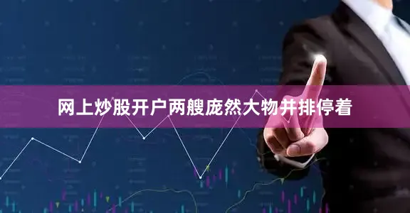 网上炒股开户两艘庞然大物并排停着