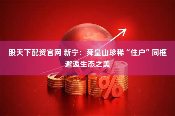 股天下配资官网 新宁：舜皇山珍稀“住户”同框邂逅生态之美