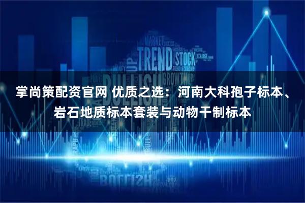 掌尚策配资官网 优质之选：河南大科孢子标本、岩石地质标本套装与动物干制标本