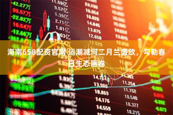 海南658配资官网 运潮减河二月兰盛放，勾勒春日生态画卷