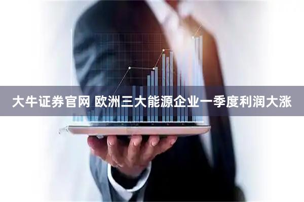大牛证券官网 欧洲三大能源企业一季度利润大涨